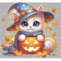 Halloween-WS 5769